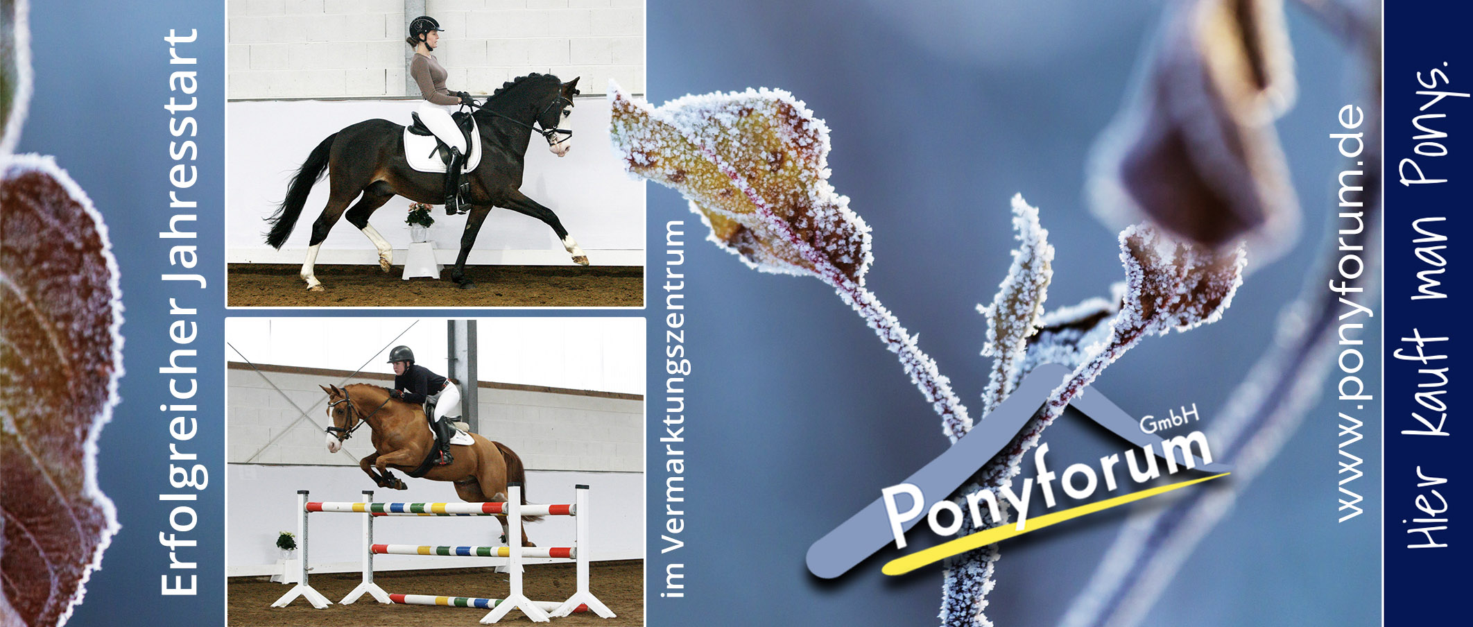 Ponyforum GmbH: Erfolgreicher Jahresbeginn im Vermarktungszentrum