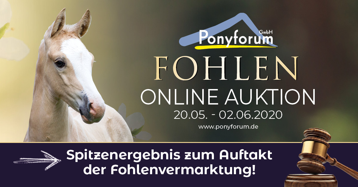 Ponyforum GmbH: Spitzenergebnis zum Auftakt der Fohlenvermarktung
