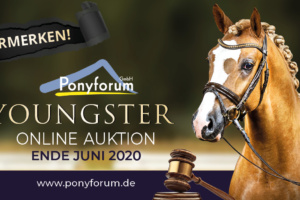 Ponyforum: Online Youngster Auktion Juni 2020