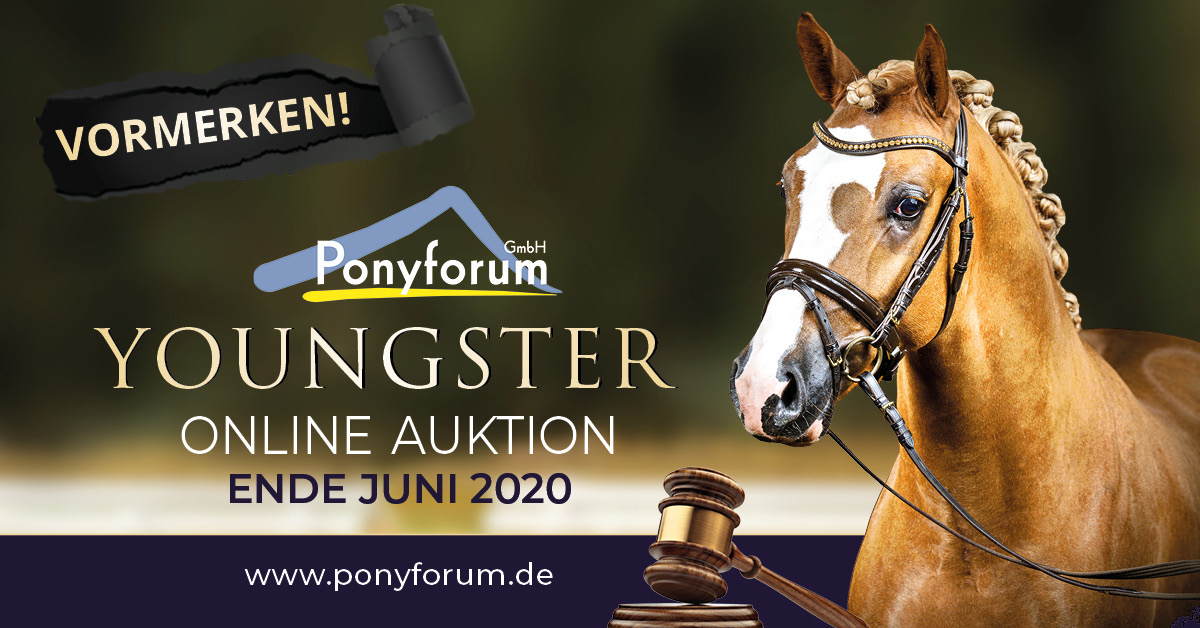 Ponyforum: Online Youngster Auktion Juni 2020
