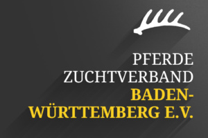 Süddeutsche Ponyhengstkörung beim Marbacher Wochenende am 7. November 2020