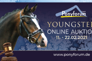 Ponyforum GmbH: Hochkarätige Online Youngster Auktion gestartet