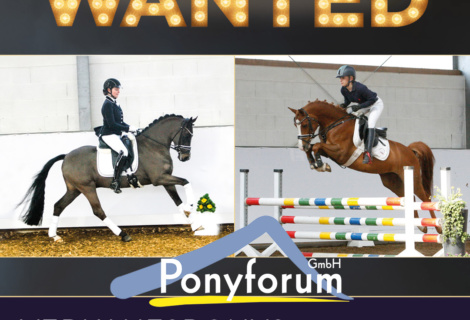 Wanted: Gerittene Ponys für die Online Auktion im März