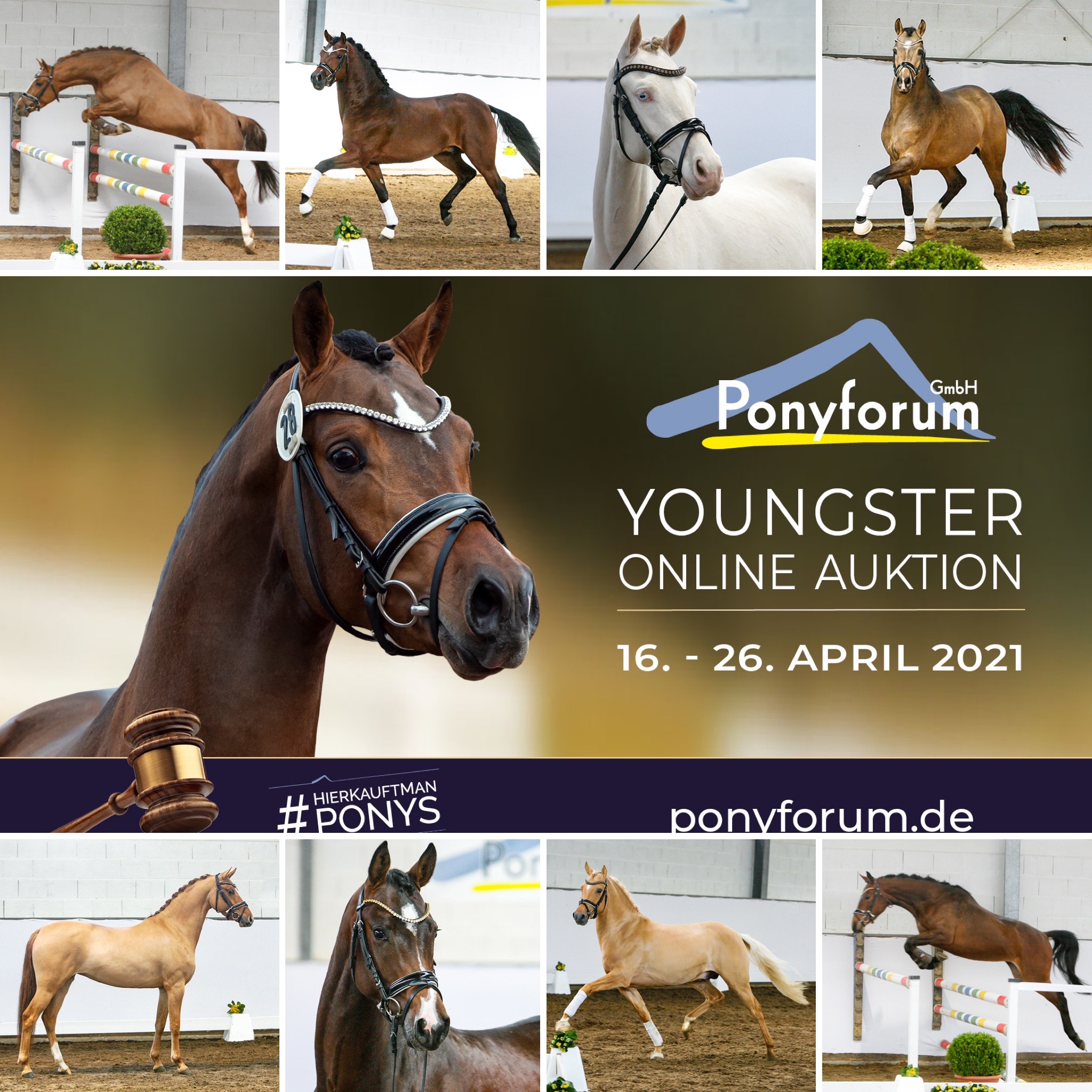 Online Youngster Auktion vom 16. – 26. April