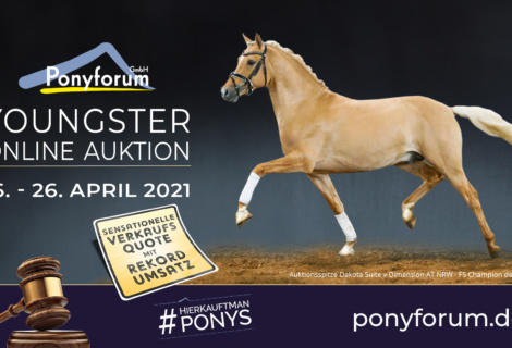 Ponyforum: Youngster Online Auktion brachte Rekordumsatz
