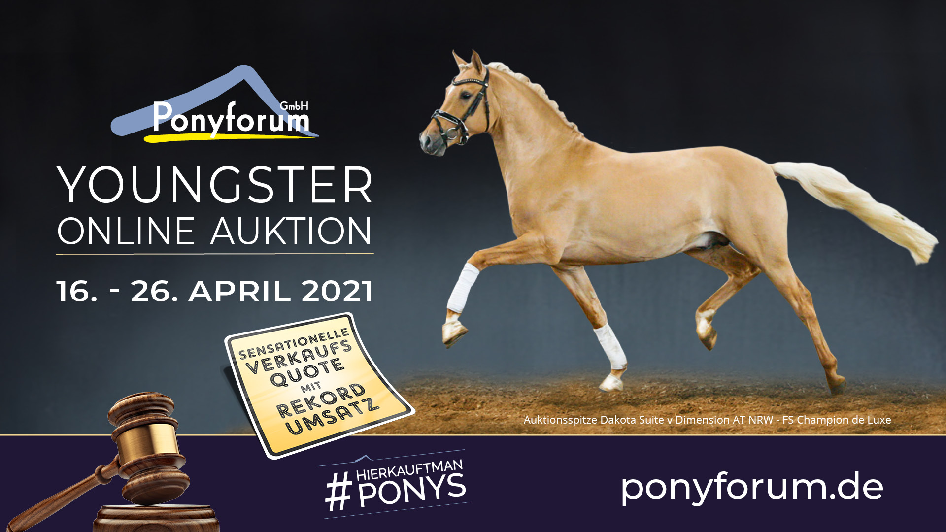 Ponyforum: Youngster Online Auktion brachte Rekordumsatz
