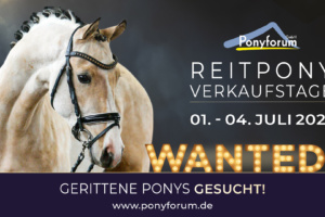 Ponyforum GmbH: Verkaufsponys gesucht!