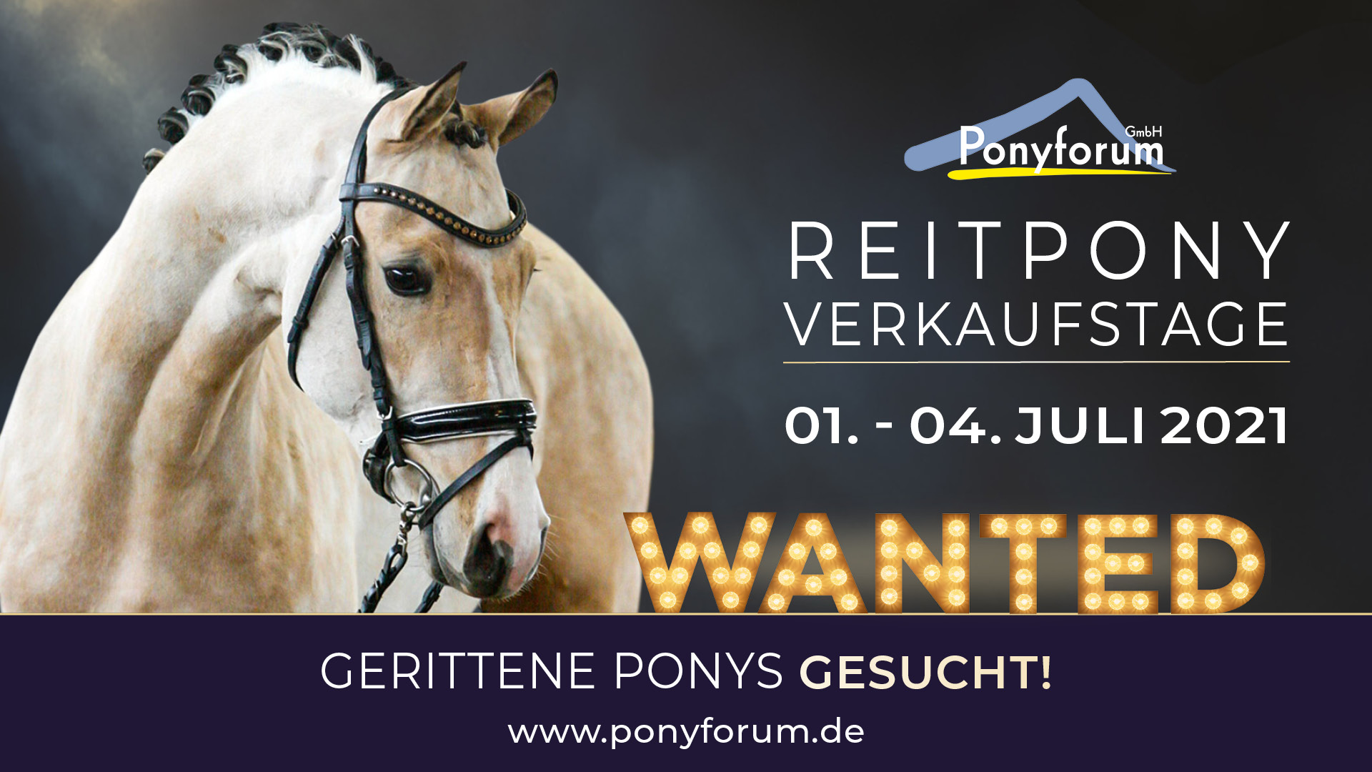 Ponyforum GmbH: Verkaufsponys gesucht!