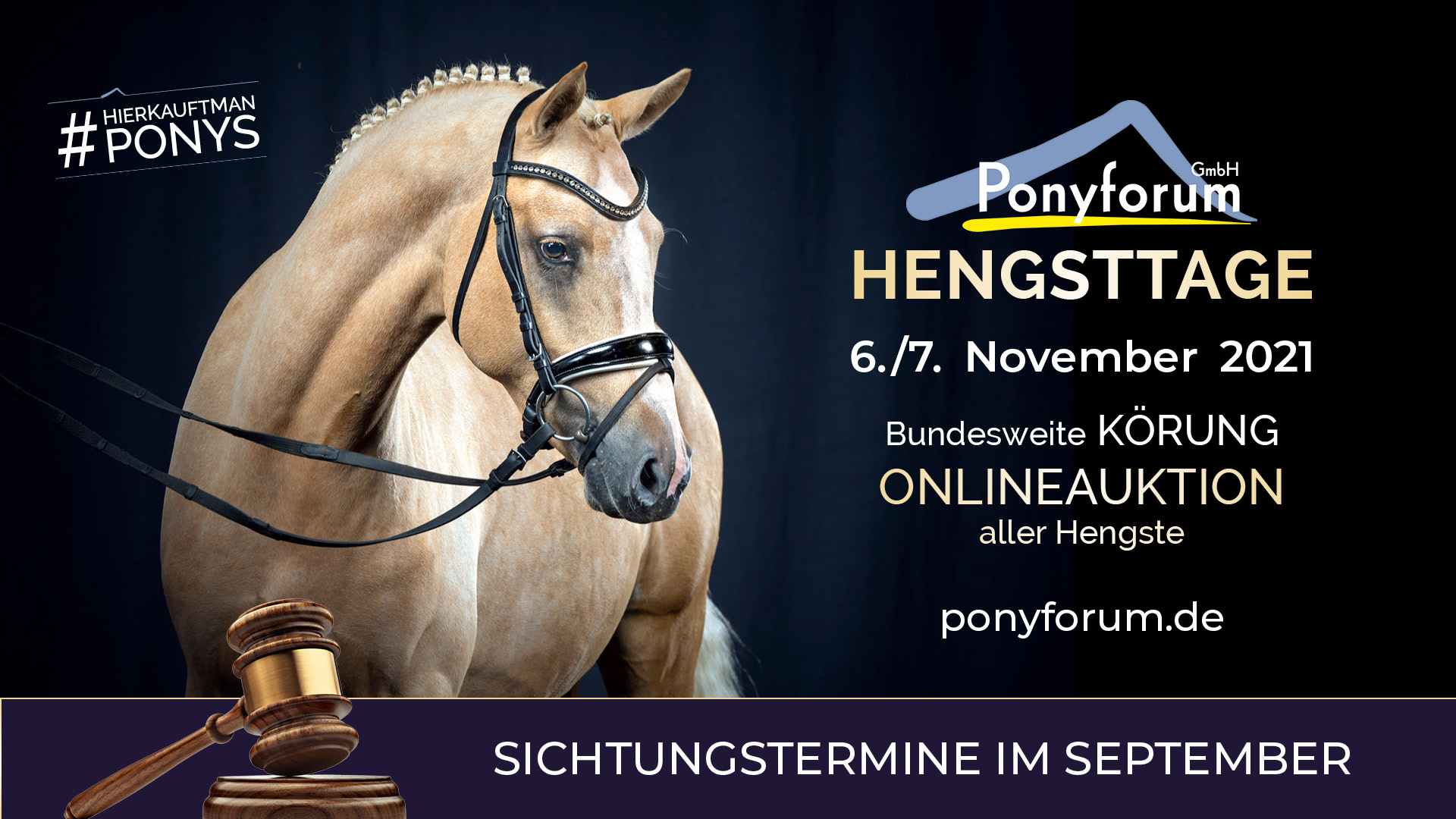 Ponyforum Hengsttage 2021