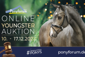 Ponyforum GmbH: Online Youngster Auktion zum Jahresabschluss