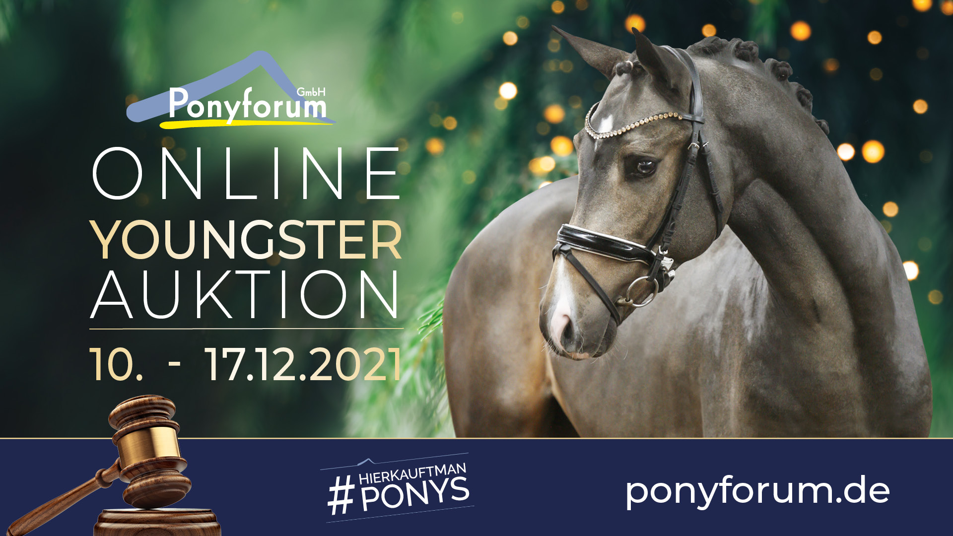 Ponyforum GmbH:  Wanted! Youngster für die nächste Online Auktion