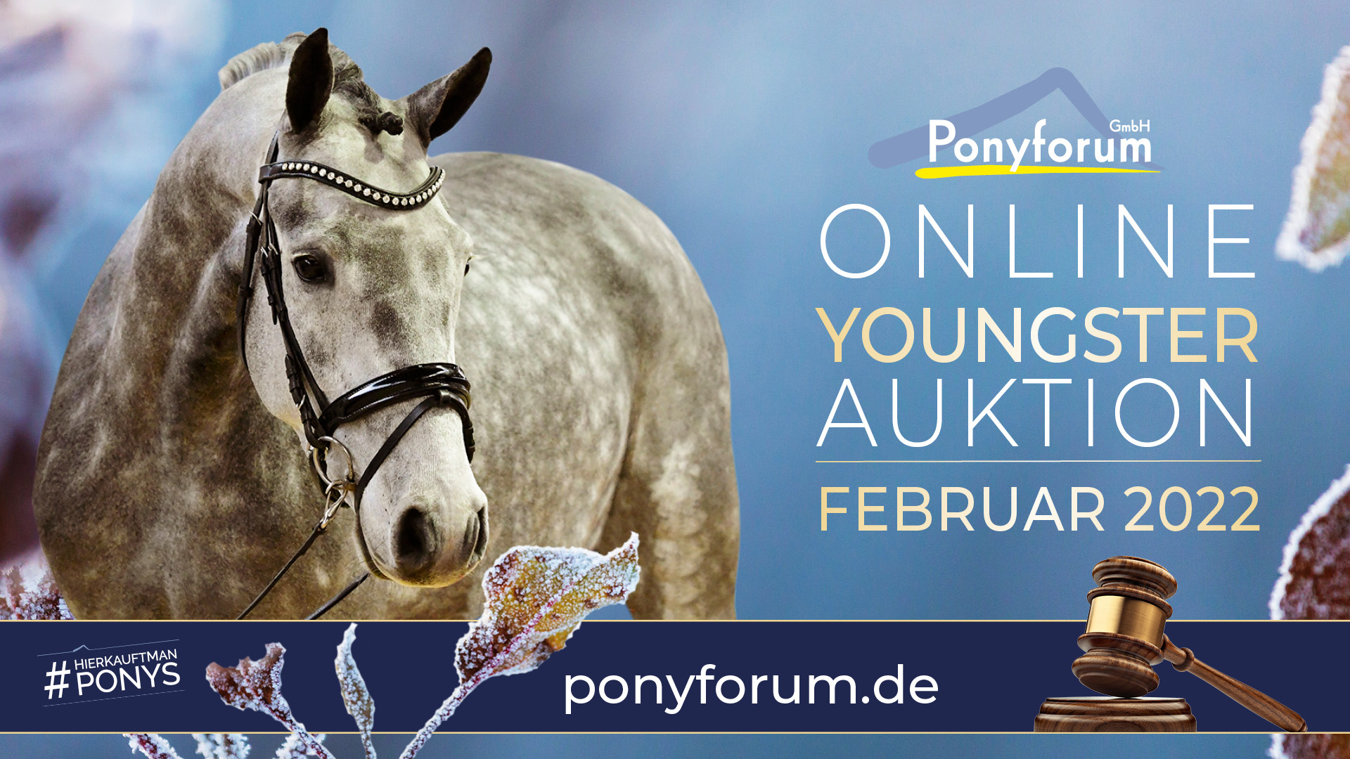Ponyforum GmbH: Wanted!