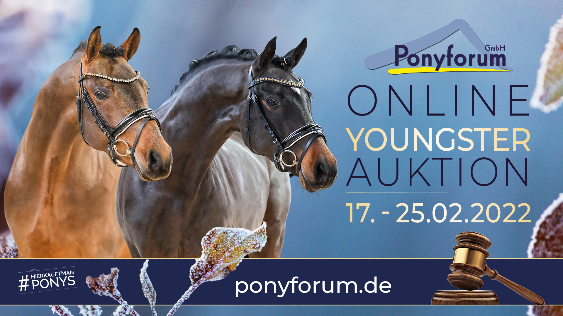 Ponyforum GmbH: Die 1. Online Youngster Auktion 2022 startet!            