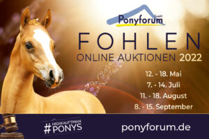 Ponyforum GmbH: Fohlenvermarktung 2022 – jetzt Termine vormerken!
