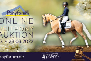 Ponyforum GmbH:  Reitpony Online Auktion vom 17.- 28. März 2022