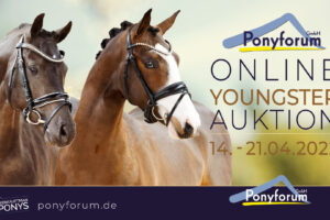Ponyforum GmbH: Start der Online Youngster Auktion!          
