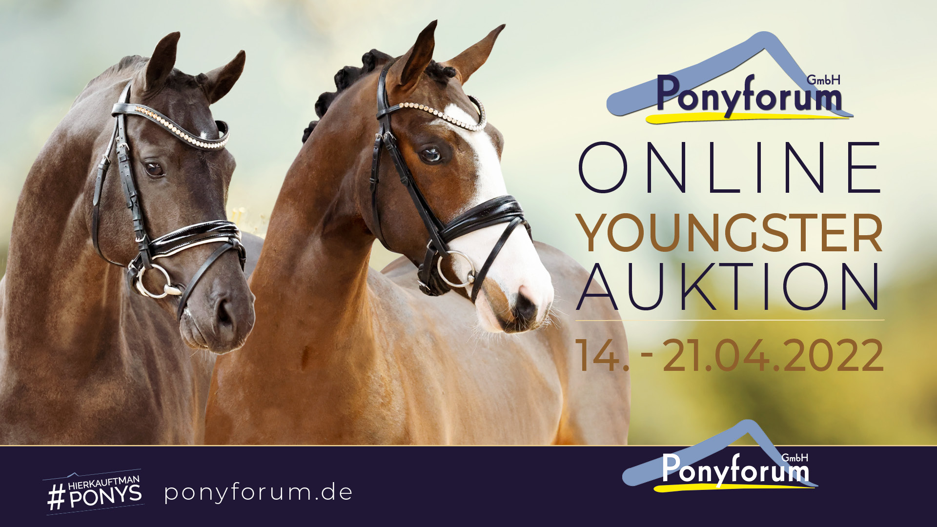 Ponyforum GmbH: Start der Online Youngster Auktion!          
