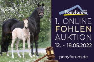 Ponyforum GmbH: Fohlensommer 2022 – die 1. Online Fohlenauktion startet!