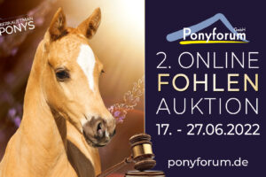Ponyforum GmbH: Fohlensommer 2022 – die 2. Online Fohlenauktion läuft!