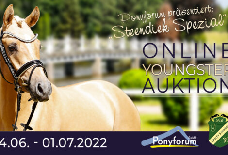Ponyforum GmbH: Youngster Auktion „Steendiek Spezial“ läuft