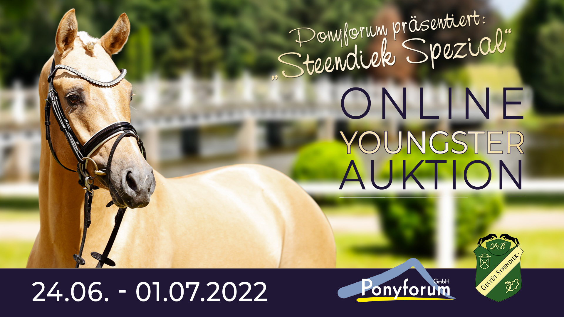 Ponyforum GmbH: Youngster Auktion „Steendiek Spezial“ läuft