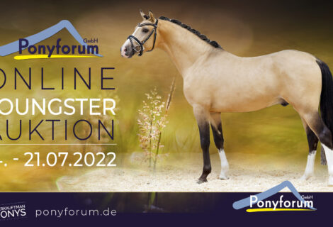 Ponyforum GmbH: Start der Online Youngster Auktion