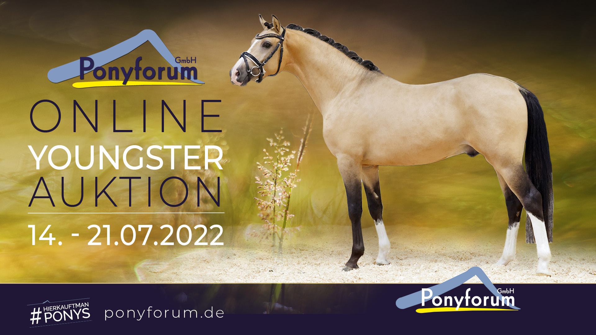 Ponyforum GmbH: Start der Online Youngster Auktion
