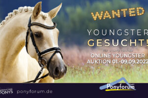 Ponyforum GmbH: Gesucht werden Youngster