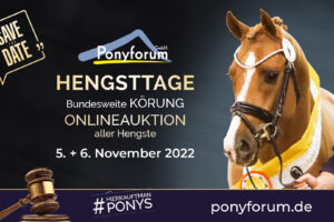 Ponyforum Hengsttage 2022