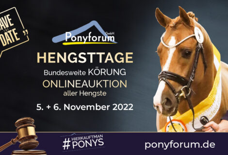 Ponyforum Hengsttage 2022