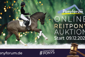 Ponyforum GmbH: Last Chance 2022 – Start der Reitponyauktion!