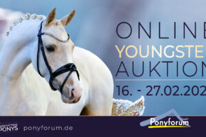 Ponyforum GmbH: Die 1. Online Youngster Auktion 2023 beginnt