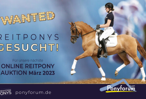 Ponyforum GmbH: Auswahltermine Reitponys