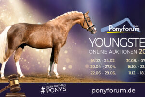 Ponyforum GmbH: Nächste Youngsterauktion im April