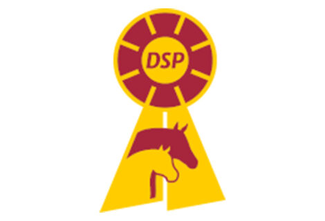 DSP-Championate Darmstadt: