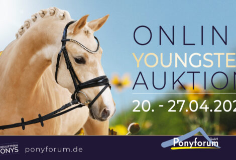 Ponyforum GmbH: Startschuss für die Online Youngster Auktion