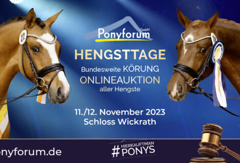 Ponyforum GmbH: Hengsttage am 11. und 12.11.2023 in Wickrath