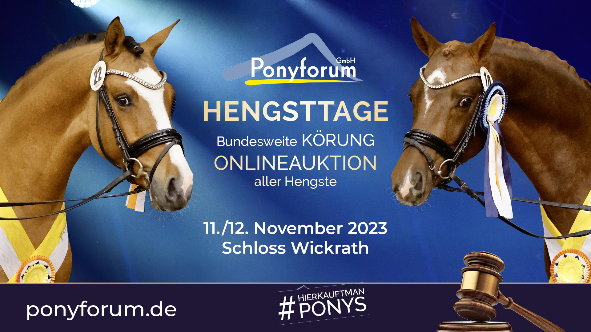 Ponyforum GmbH: Hengsttage am 11. und 12.11.2023 in Wickrath