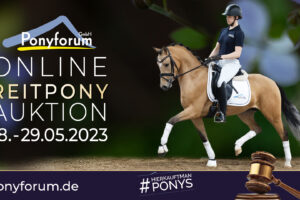 Ponyforum GmbH: Start der Mai-Auktion!