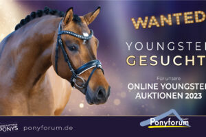 Ponyforum GmbH: Youngster gesucht für Juni-Auktion