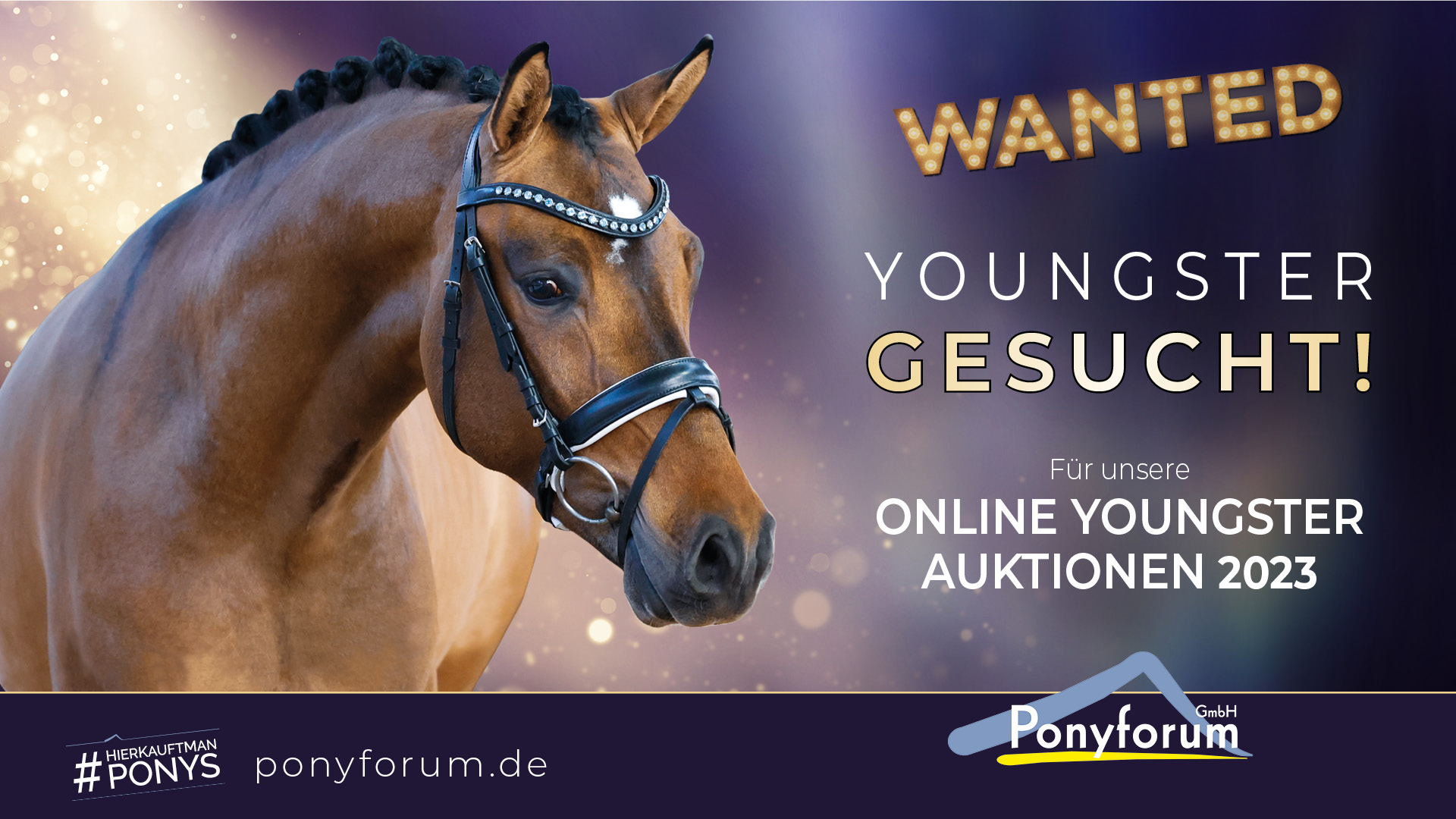 Ponyforum GmbH: Youngster gesucht für Juni-Auktion